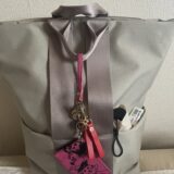 【ミニマリストが厳選】冬のディズニーランドの持ち物【子連れディズニー】