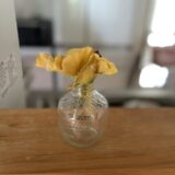 FIREより大切なこと